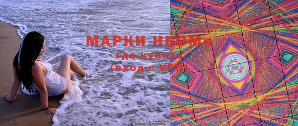 ешки Аркадак
