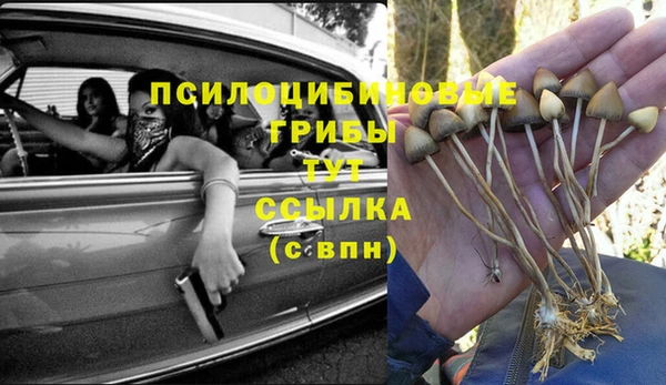 метадон Армянск
