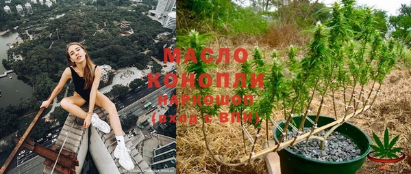 ешки Аркадак