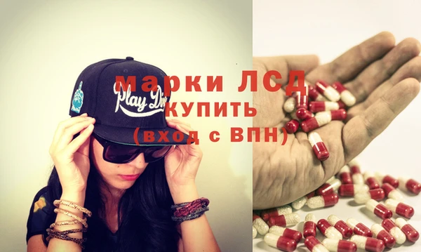 ешки Аркадак
