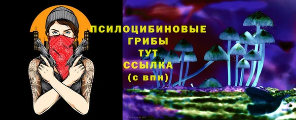 ешки Аркадак