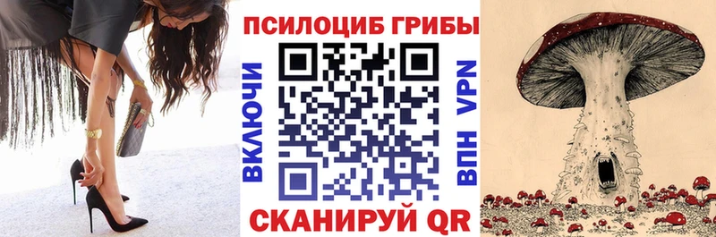 Купить  Бирюсинск  Псилоцибиновые грибы Psilocybe 